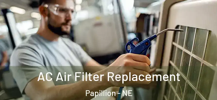  AC Air Filter Replacement Papillion - NE