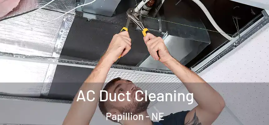  AC Duct Cleaning Papillion - NE