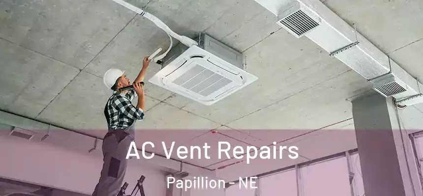  AC Vent Repairs Papillion - NE