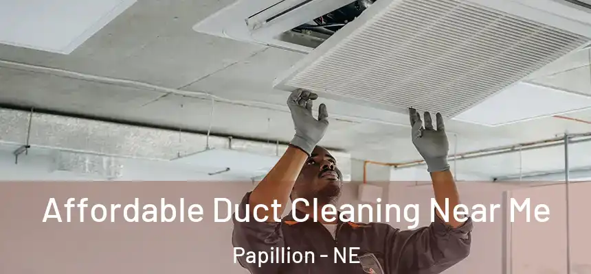 Affordable Duct Cleaning Near Me Papillion - NE