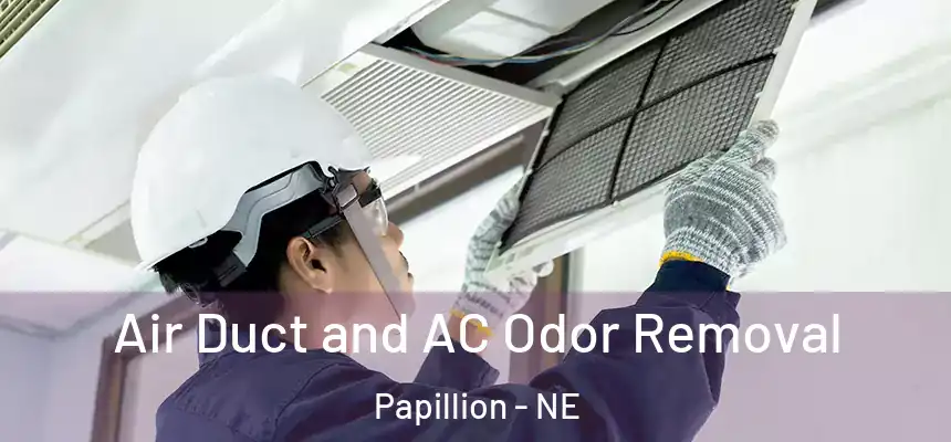  Air Duct and AC Odor Removal Papillion - NE