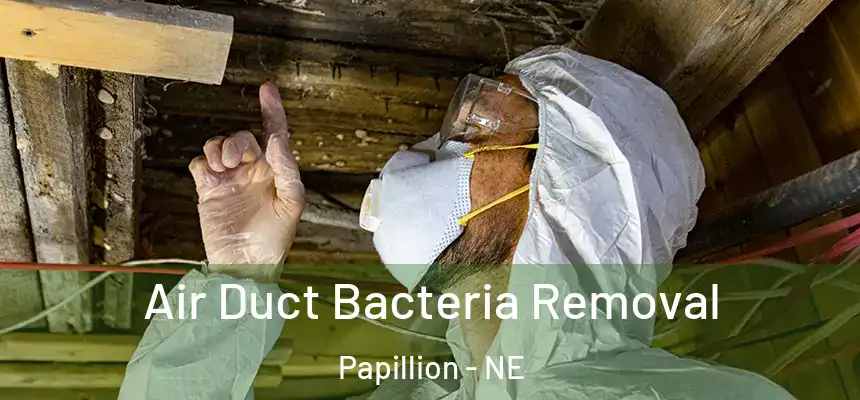  Air Duct Bacteria Removal Papillion - NE