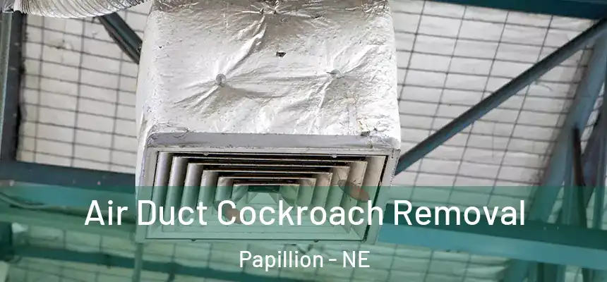 Air Duct Cockroach Removal Papillion - NE