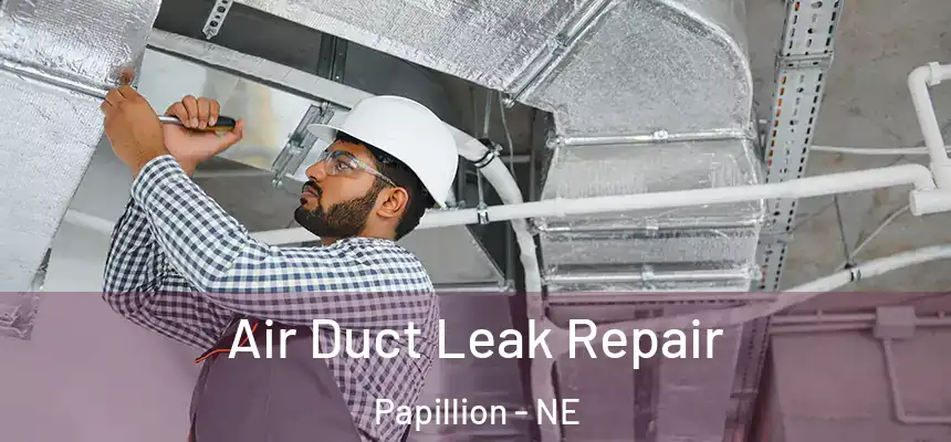  Air Duct Leak Repair Papillion - NE