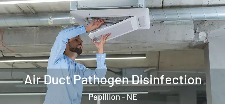  Air Duct Pathogen Disinfection Papillion - NE