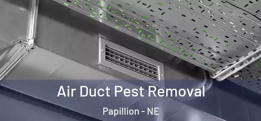  Air Duct Pest Removal Papillion - NE