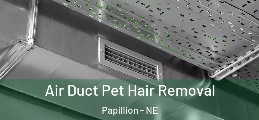  Air Duct Pet Hair Removal Papillion - NE
