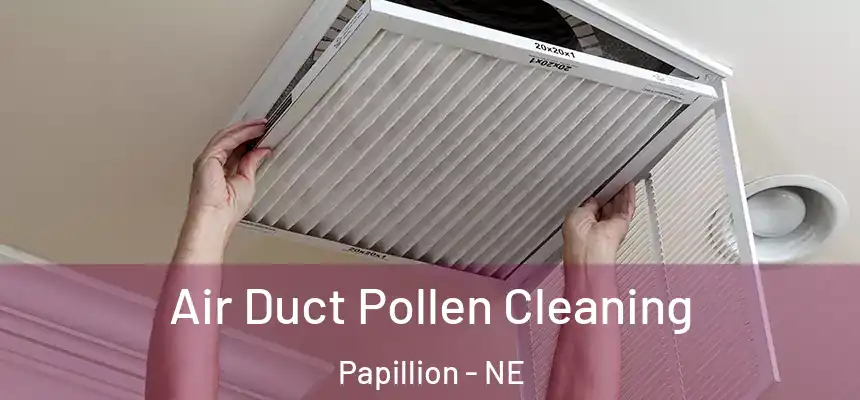  Air Duct Pollen Cleaning Papillion - NE