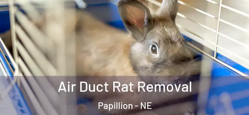  Air Duct Rat Removal Papillion - NE