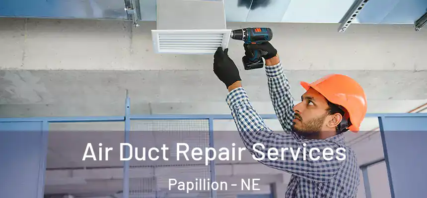 Air Duct Repair Services Papillion - NE