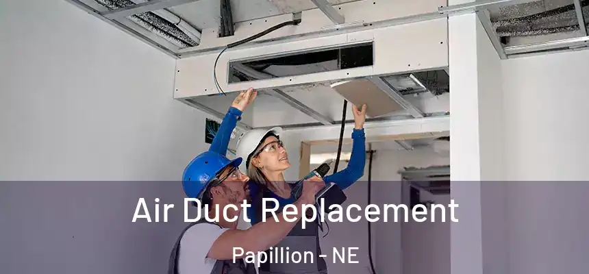  Air Duct Replacement Papillion - NE
