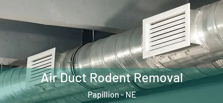  Air Duct Rodent Removal Papillion - NE