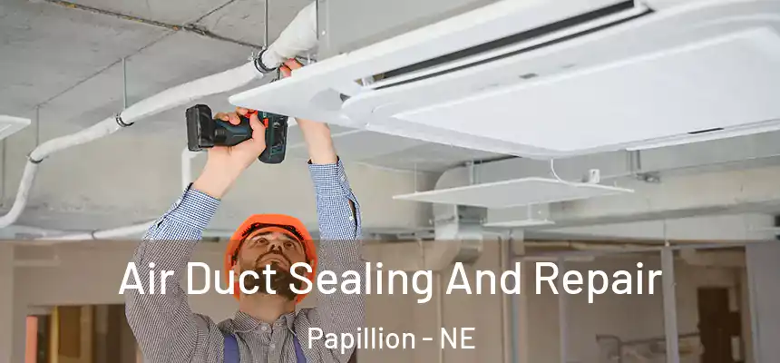  Air Duct Sealing And Repair Papillion - NE