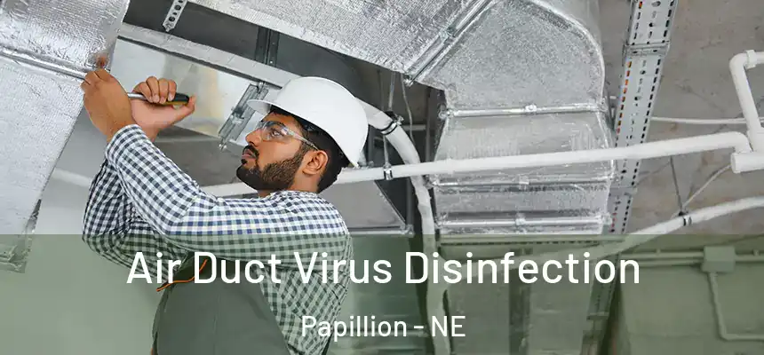 Air Duct Virus Disinfection Papillion - NE
