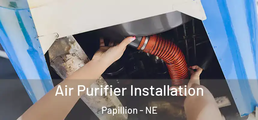  Air Purifier Installation Papillion - NE