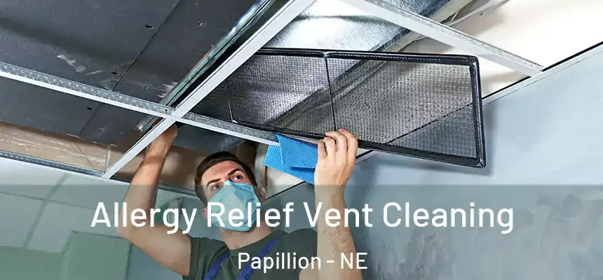  Allergy Relief Vent Cleaning Papillion - NE