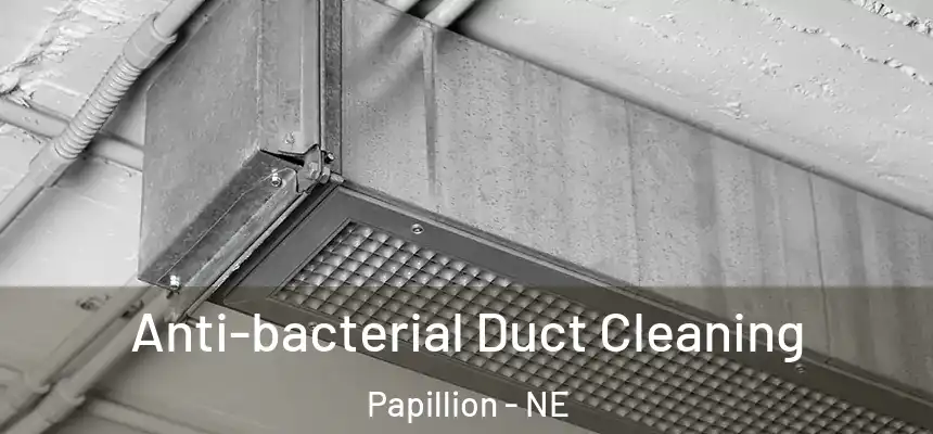  Anti-bacterial Duct Cleaning Papillion - NE