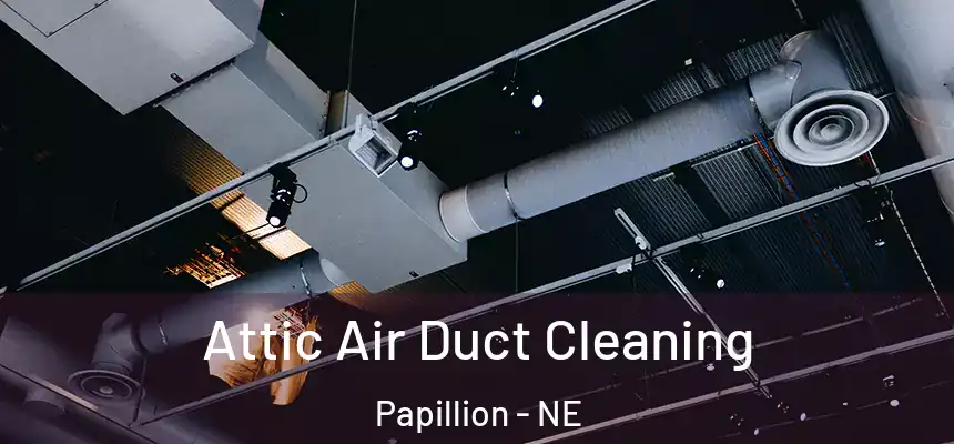  Attic Air Duct Cleaning Papillion - NE