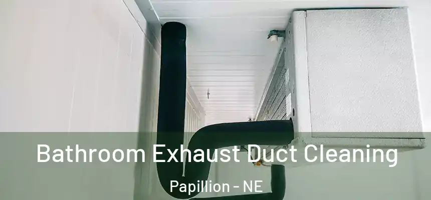  Bathroom Exhaust Duct Cleaning Papillion - NE