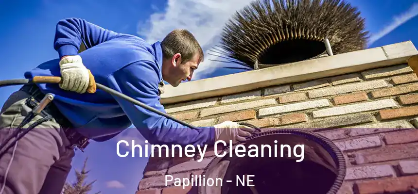  Chimney Cleaning Papillion - NE