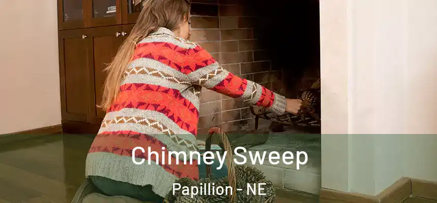  Chimney Sweep Papillion - NE