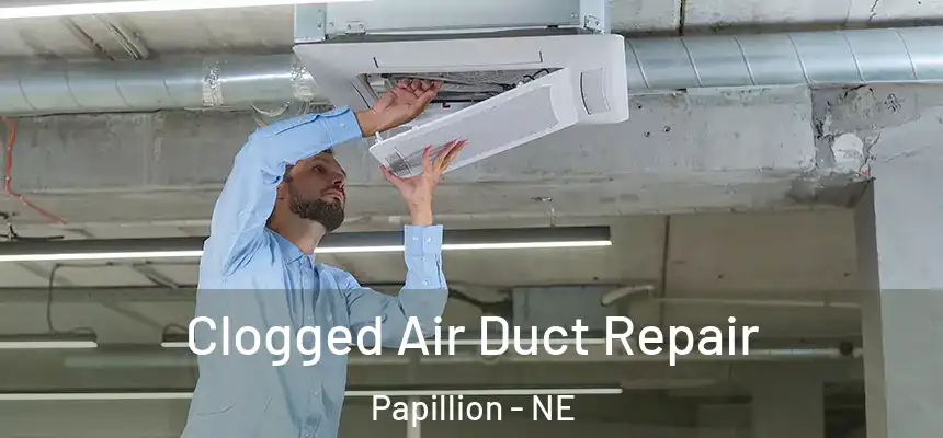  Clogged Air Duct Repair Papillion - NE