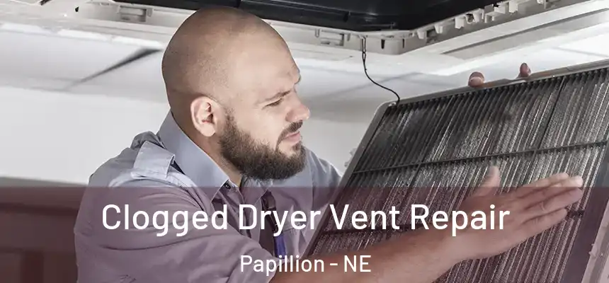  Clogged Dryer Vent Repair Papillion - NE