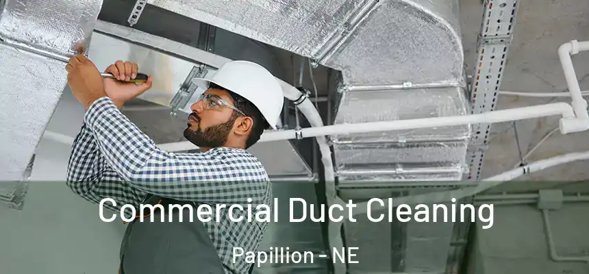  Commercial Duct Cleaning Papillion - NE