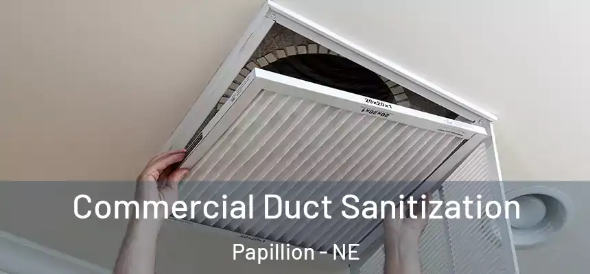  Commercial Duct Sanitization Papillion - NE