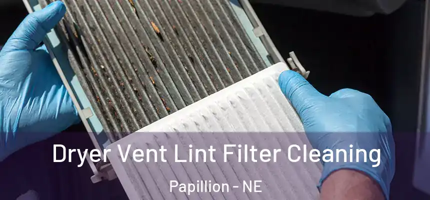  Dryer Vent Lint Filter Cleaning Papillion - NE