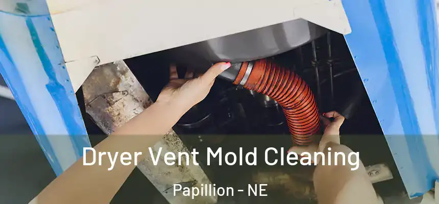  Dryer Vent Mold Cleaning Papillion - NE