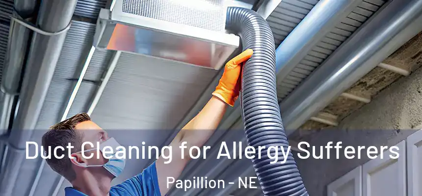  Duct Cleaning for Allergy Sufferers Papillion - NE