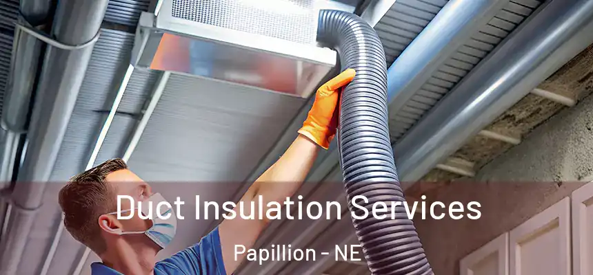 Duct Insulation Services Papillion - NE