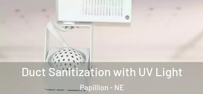  Duct Sanitization with UV Light Papillion - NE