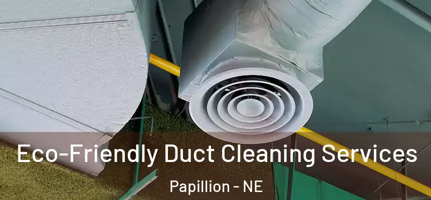  Eco-Friendly Duct Cleaning Services Papillion - NE