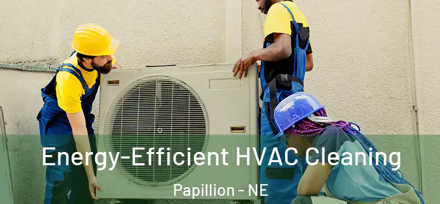  Energy-Efficient HVAC Cleaning Papillion - NE