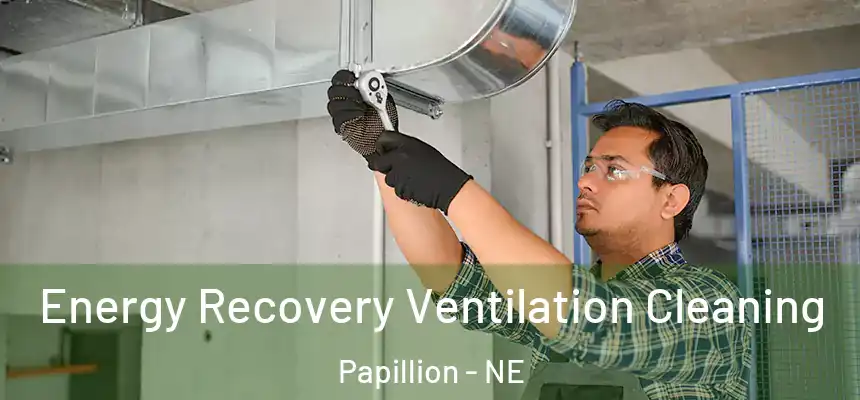  Energy Recovery Ventilation Cleaning Papillion - NE
