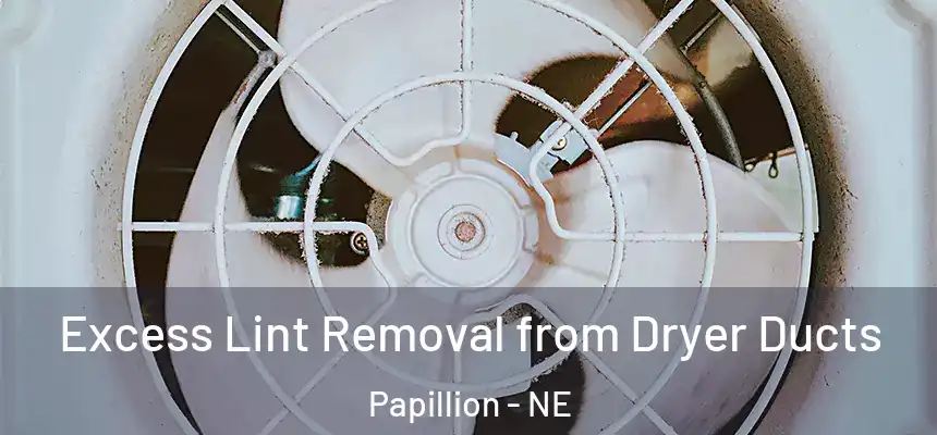 Excess Lint Removal from Dryer Ducts Papillion - NE