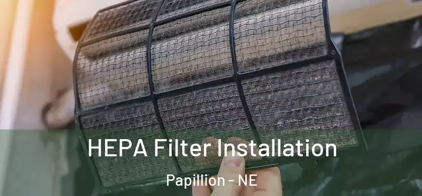  HEPA Filter Installation Papillion - NE