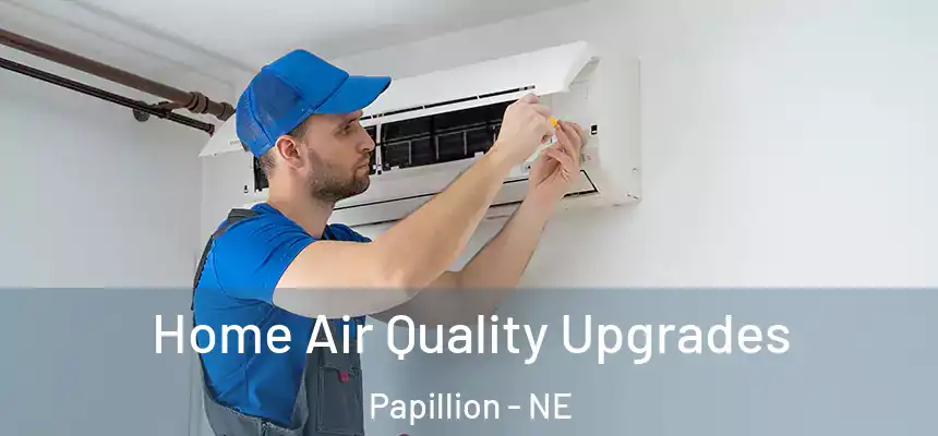  Home Air Quality Upgrades Papillion - NE
