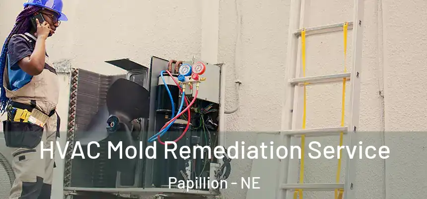  HVAC Mold Remediation Service Papillion - NE