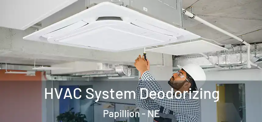  HVAC System Deodorizing Papillion - NE
