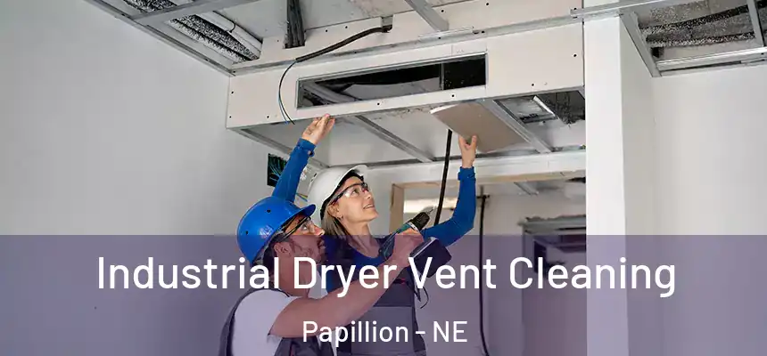  Industrial Dryer Vent Cleaning Papillion - NE