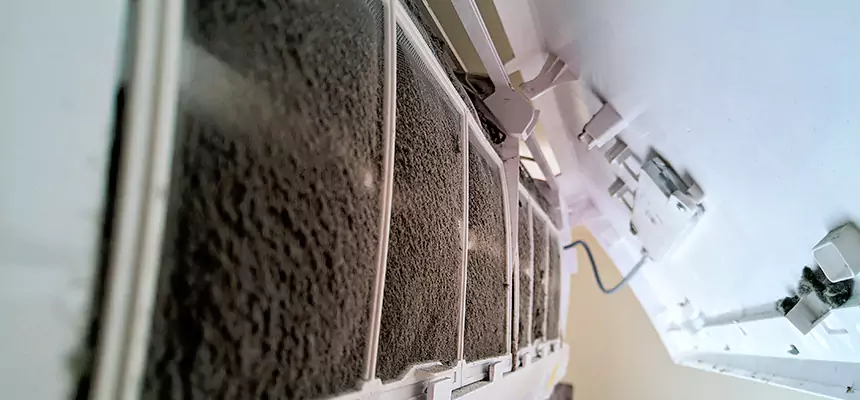 Preventive Air Duct Bacteria Removal in Papillion