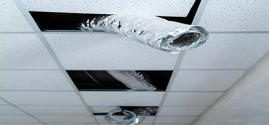 Affordable HVAC Sanitizing After Pest Removal in Papillion