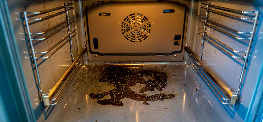 Our Dryer Vent Mold Cleaning Services in Papillion, NE