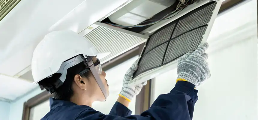 Our Lint Trap Cleaning Service Services in Papillion, NE