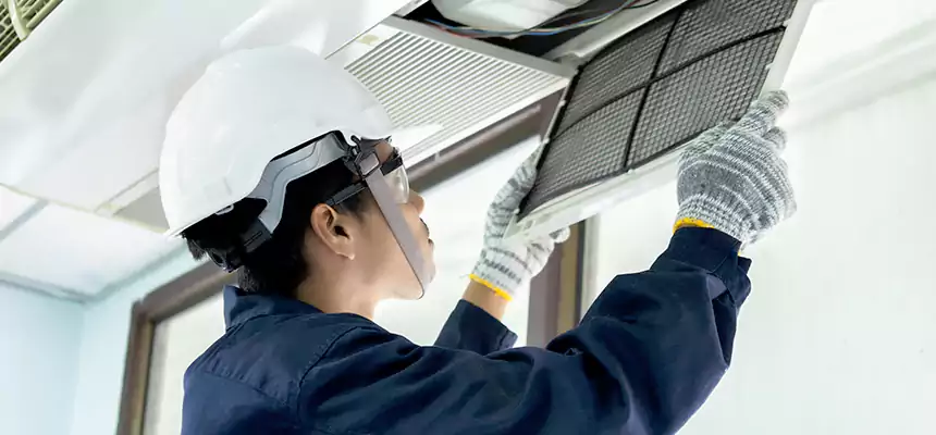 Our Mold & Mildew Removal from Air Ducts Services in Papillion, NE