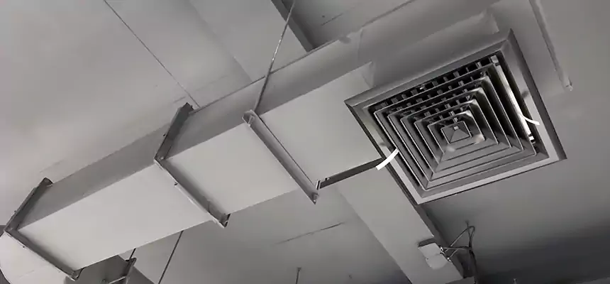 Our Pest Removal From Ducts Services in Papillion, NE