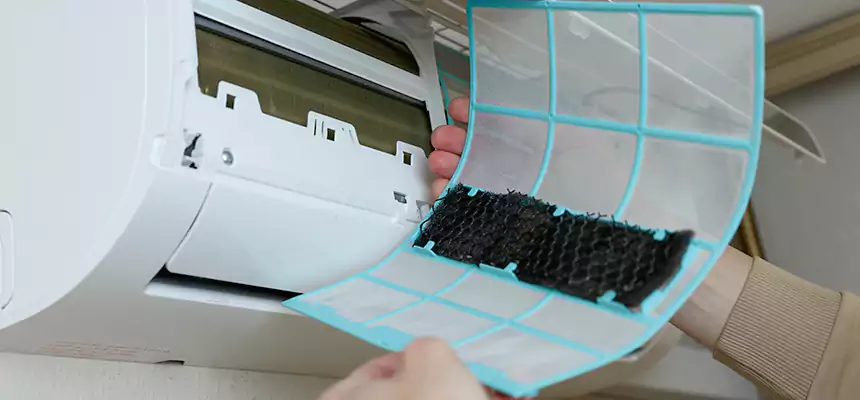 Gentle Ductwork Odor-Control Pet Dander Duct Cleaning in Papillion, NE